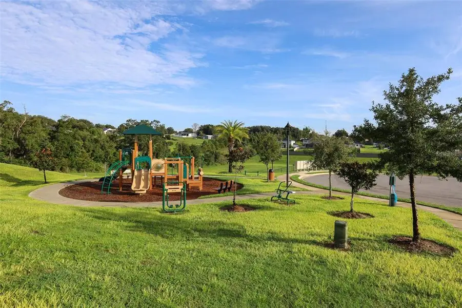 Community amenities in The Reserve at Lake Ridge II, Minneola (Image 35).