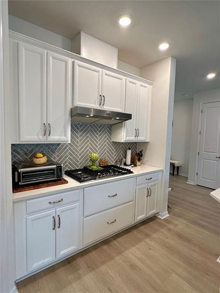 Furnished interior view inside a new home in , Land O' Lakes (Image 33). Furnished interior view inside a new home in , Land O' Lakes (Image 33).