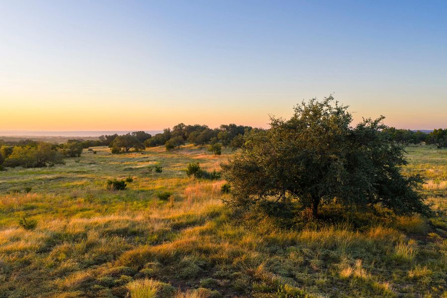 View of nature View of nature