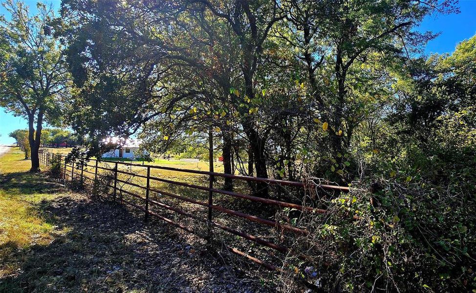 Tree lined back of property.  No back to back neighbors