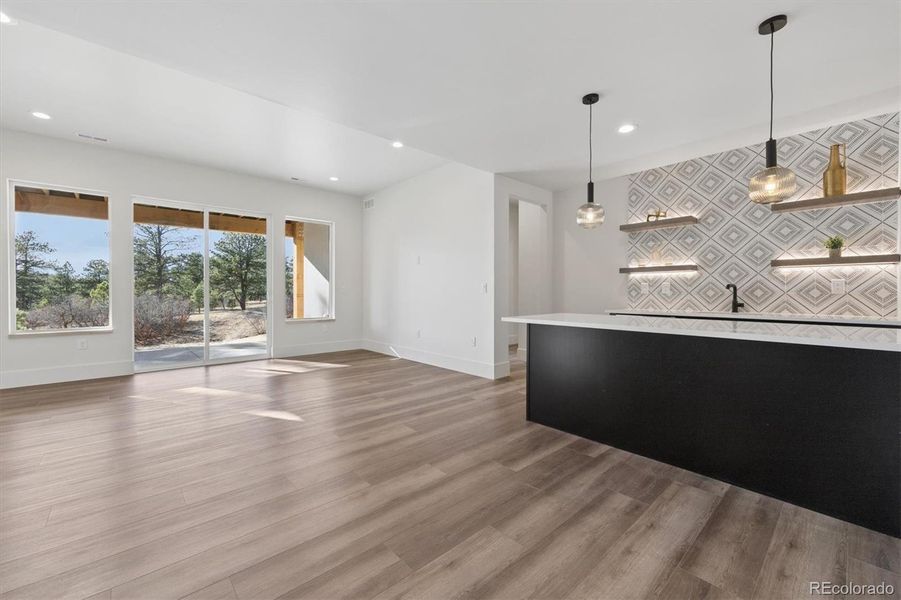 Walk out basement rec room w/bar area