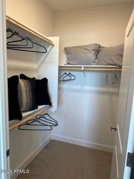 Guest Bed Closet