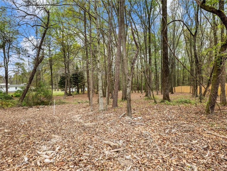 Natural landscape and outdoor views near  in Gillsville (Image 58).