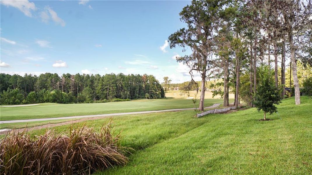 Natural landscape and outdoor views near Southern Hills in Brooksville (Image 7). Natural landscape and outdoor views near Southern Hills in Brooksville (Image 7).