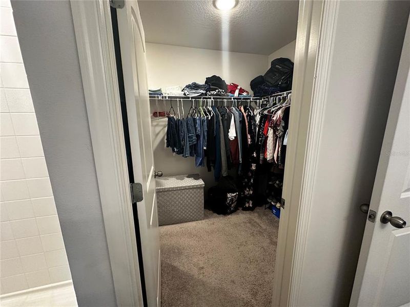 Walk in Closet-Master Walk in Closet-Master