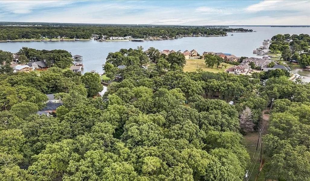 Expansive wooded lot with mature trees, offering privacy and natural surroundings Expansive wooded lot with mature trees, offering privacy and natural surroundings