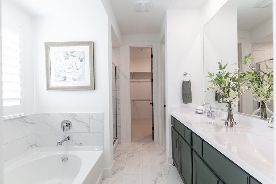 Representative Primary Bathroom - some options shown