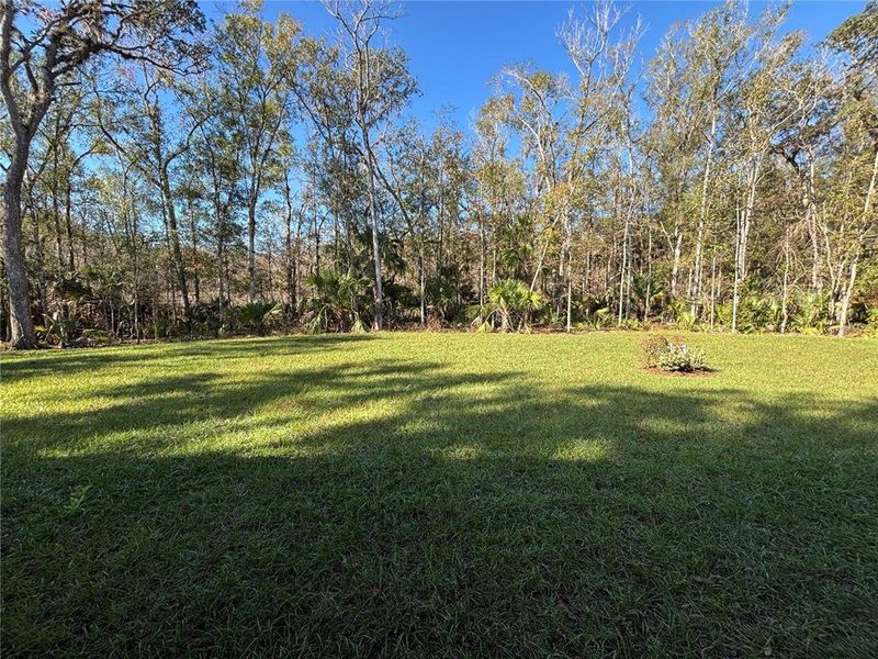 Natural landscape and outdoor views near  in Brooksville (Image 40).