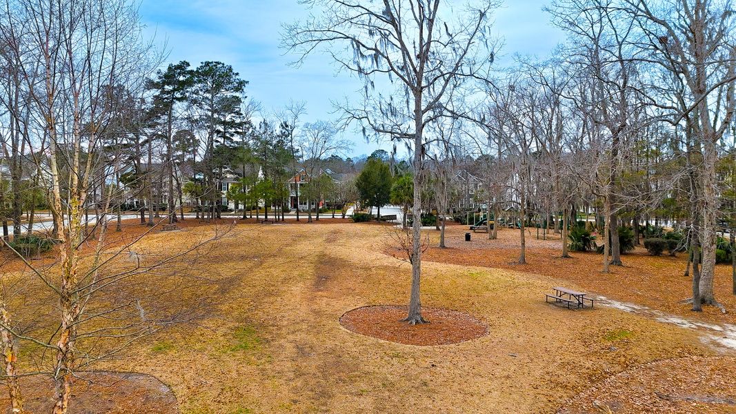 Natural landscape and outdoor views near Park's Edge at Carolina Bay in Charleston (Image 63). Natural landscape and outdoor views near Park's Edge at Carolina Bay in Charleston (Image 63).