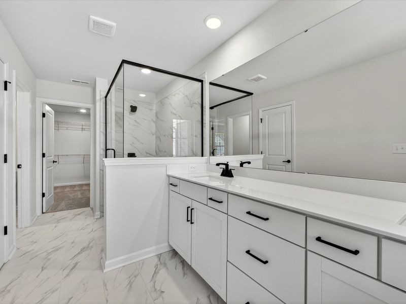 Owner's Bath
