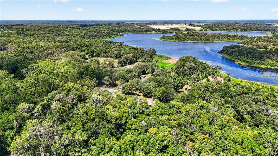 Natural landscape and outdoor views near  in Dade City (Image 56).