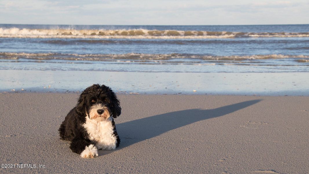 Image 10 of a home in .