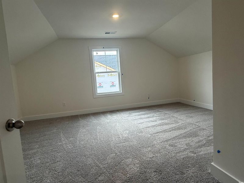 Additional living space featuring light carpet and vaulted ceiling