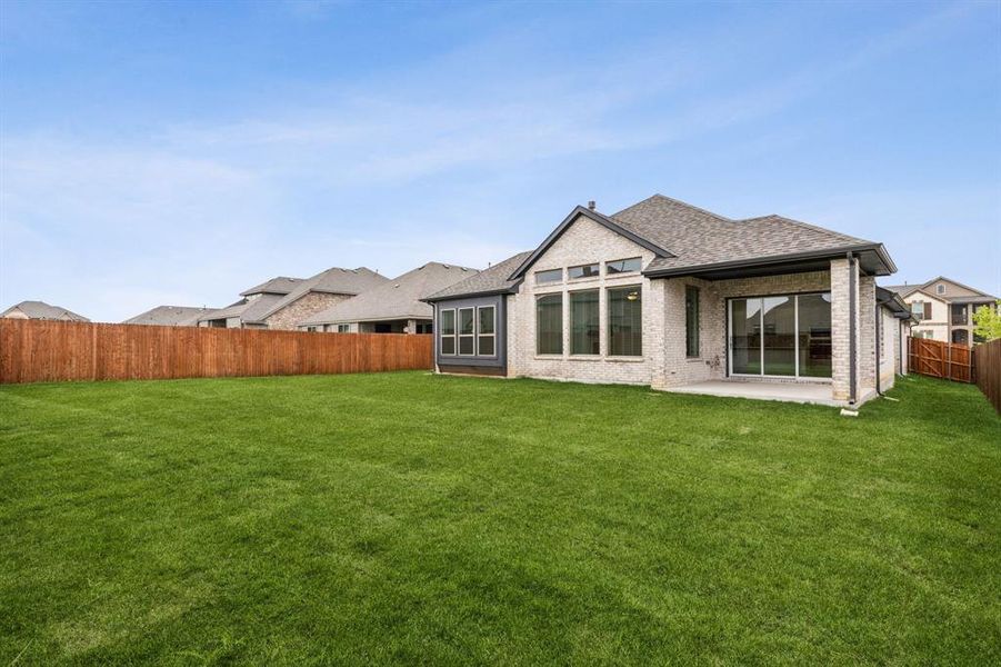 11-3629Maize_011 11-3629Maize_011