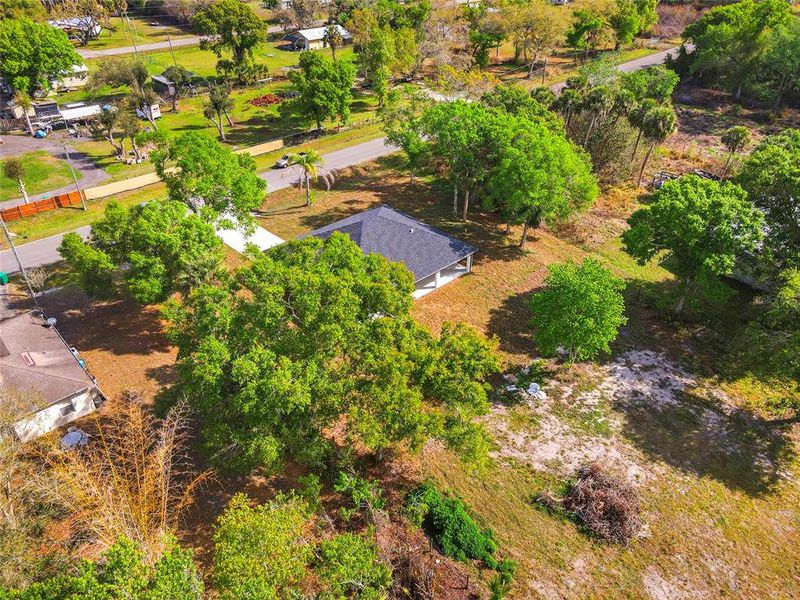 Natural landscape and outdoor views near  in Okeechobee (Image 44).