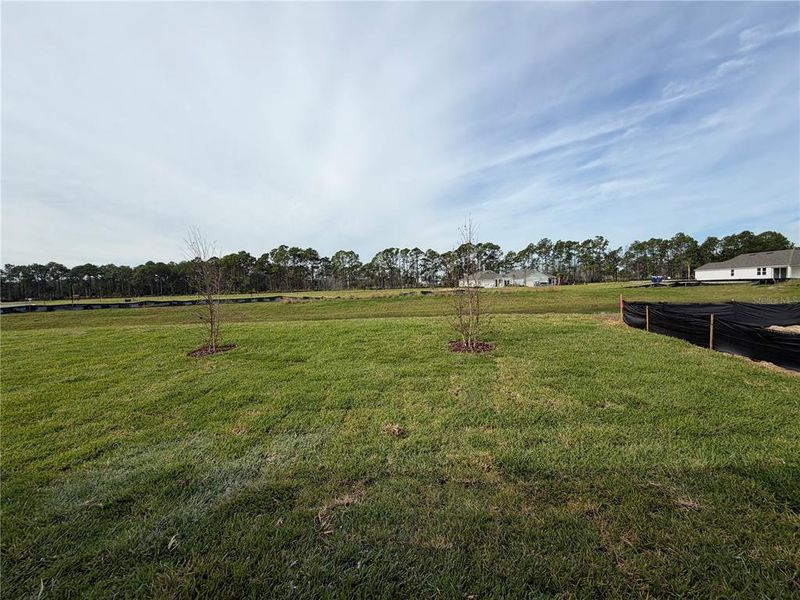 Exterior details and patio area of a home in The Cypress Series at Reserve East, Flagler Beach (Image 24).