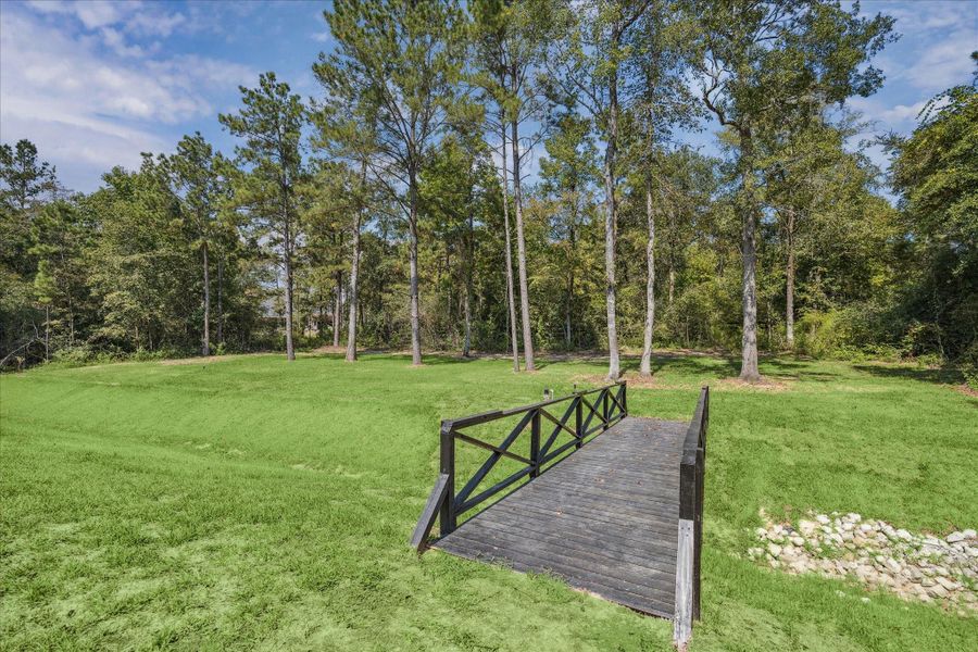 Natural landscape and outdoor views near  in Montgomery (Image 41).