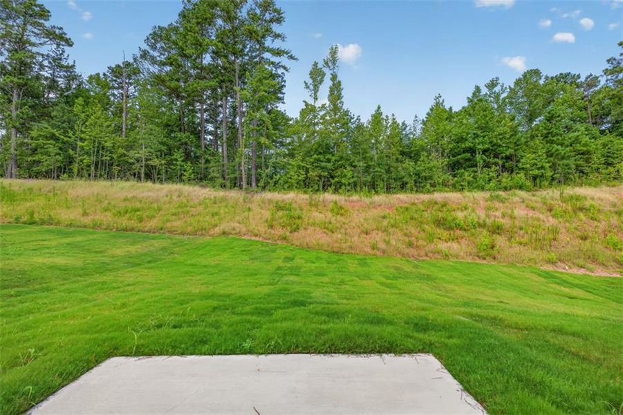 Natural landscape and outdoor views near Summerfield Place in Carrollton (Image 32). Natural landscape and outdoor views near Summerfield Place in Carrollton (Image 32).