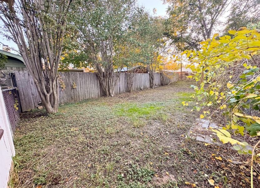 View of fenced backyard