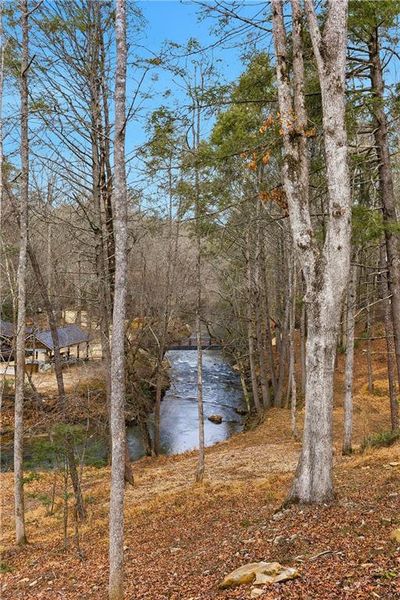 Natural landscape and outdoor views near  in Blue Ridge (Image 58).
