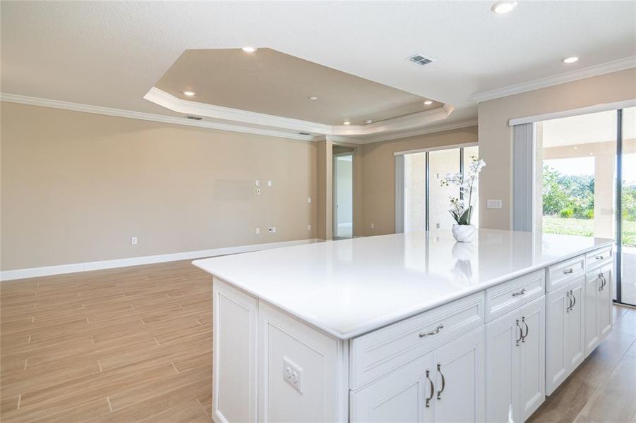 Furnished interior view inside a new home in Esplanade at Wiregrass Ranch, Wesley Chapel (Image 33).