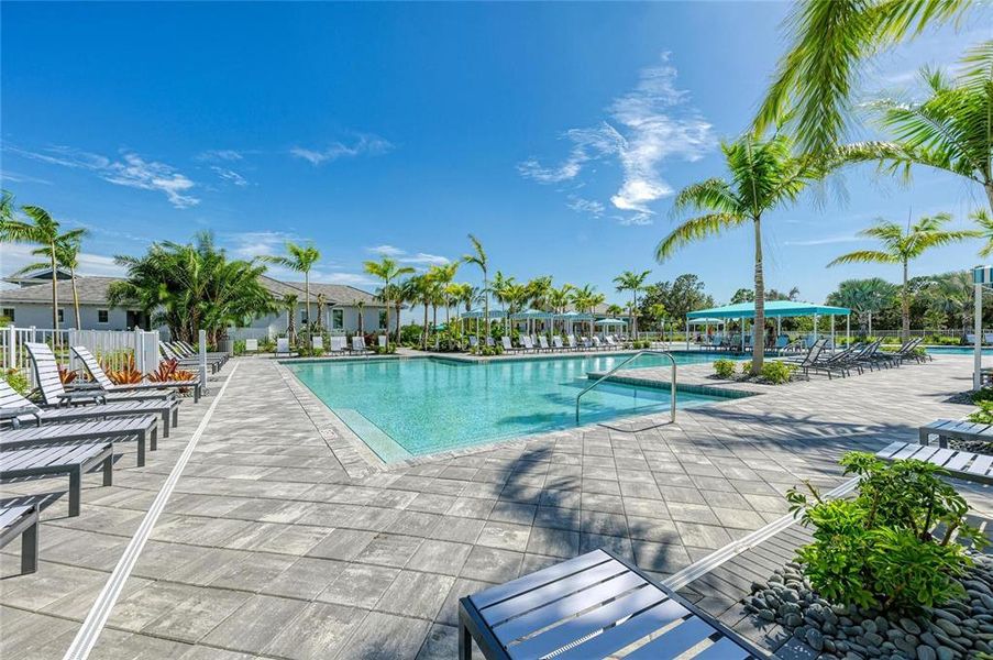 Community amenities in , Sarasota (Image 53). Community amenities in , Sarasota (Image 53).