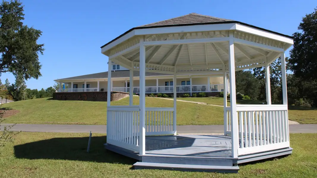 Community amenities in The Forest at Black Bear, Longs (Image 11).