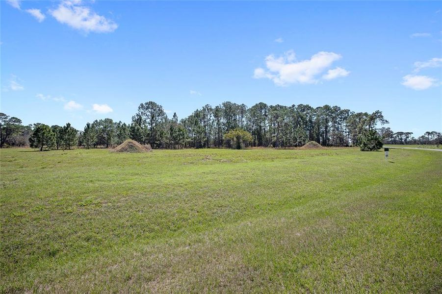 Natural landscape and outdoor views near in Umatilla (Image 9). Natural landscape and outdoor views near in Umatilla (Image 9).