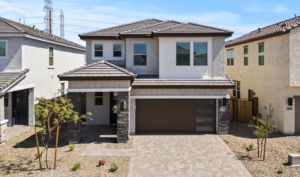 Prairie Willow Contemporary ZA