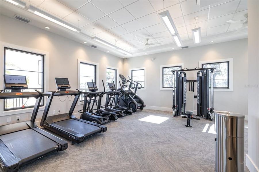 Community amenities in The Grove at Stuart Crossing - Premier Series, Bartow (Image 41).