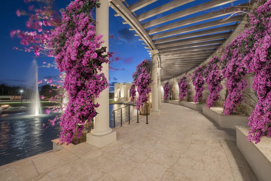 Avenir Entry Colorful