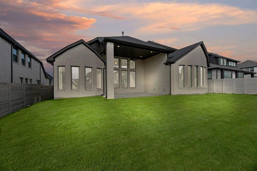 DAL_Painted Tree_Haskell II_4005 Gervais Drive (31)