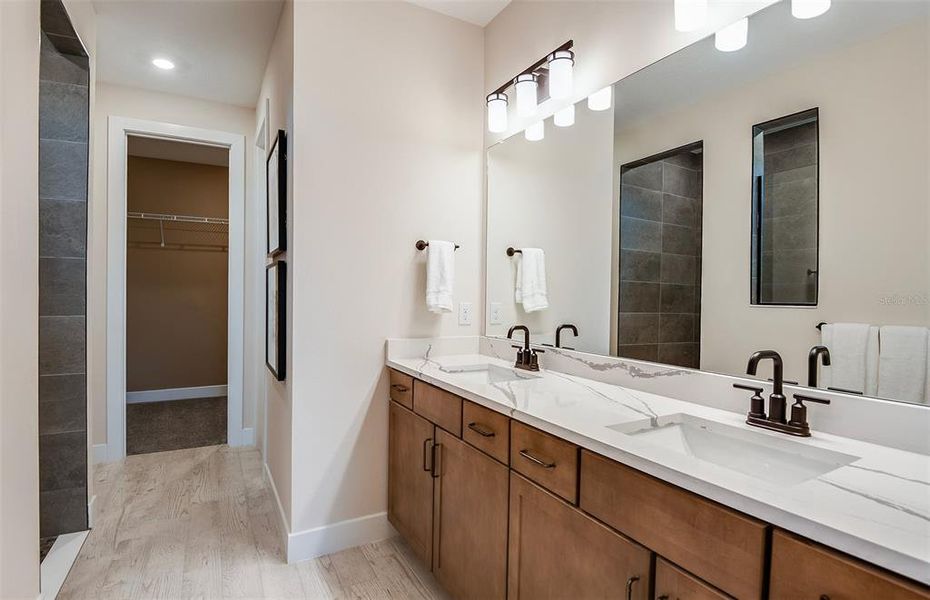 Model Representation