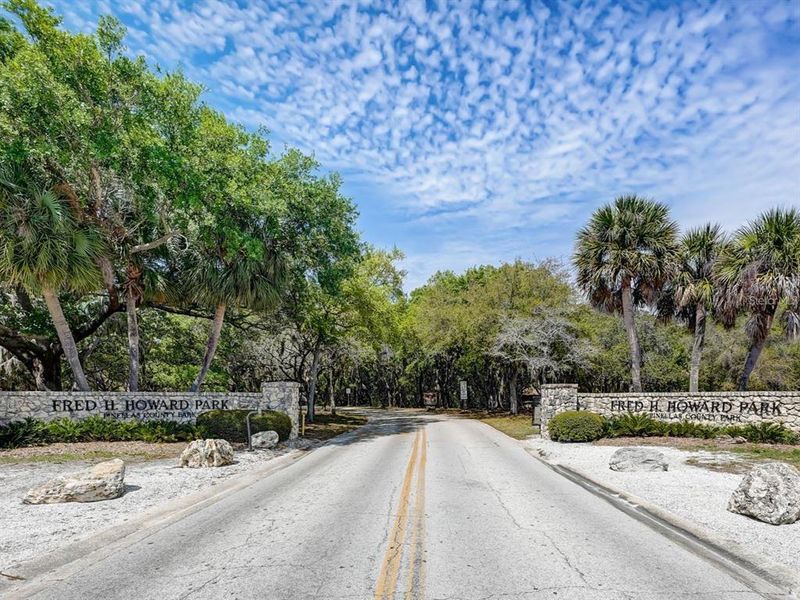 Natural landscape and outdoor views near  in Tarpon Springs (Image 60).