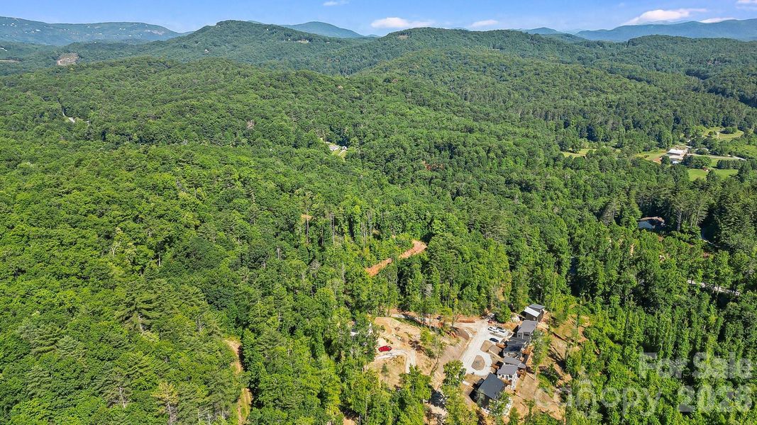 Natural landscape and outdoor views near  in Lake Toxaway (Image 21).
