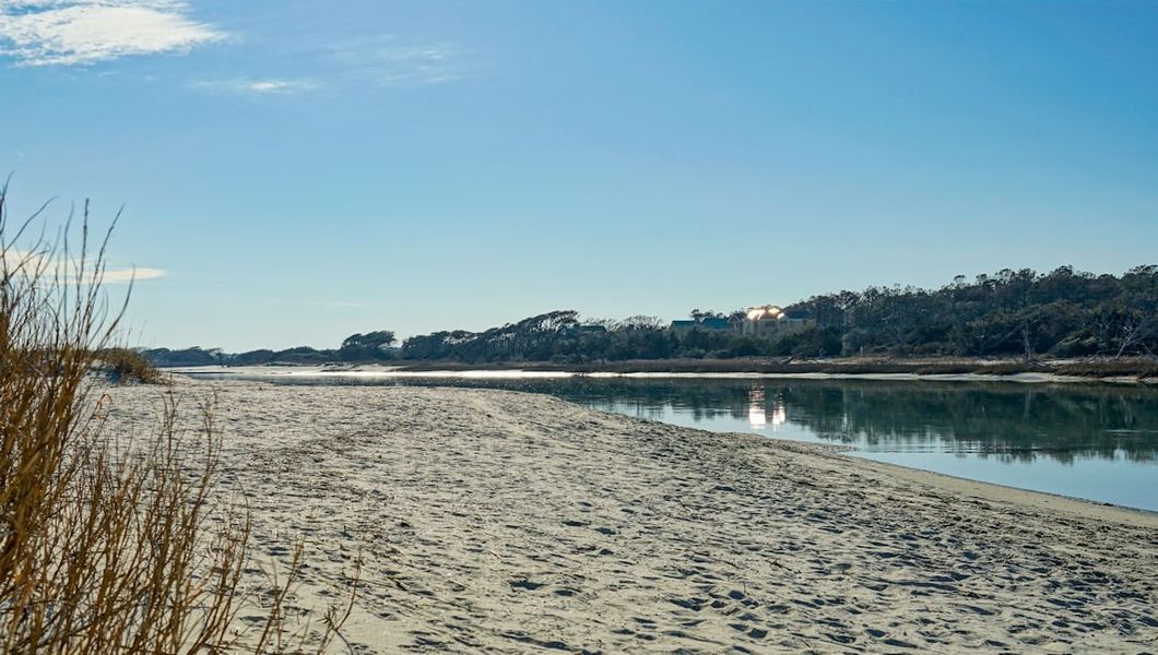 Natural landscape and outdoor views near South Island Landing in Georgetown (Image 16).