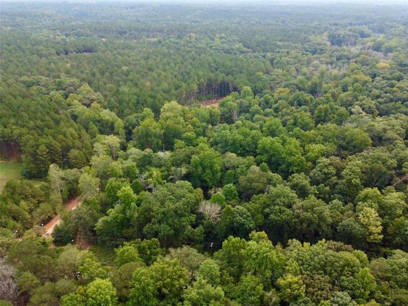 Natural landscape and outdoor views near  in Madison (Image 14).