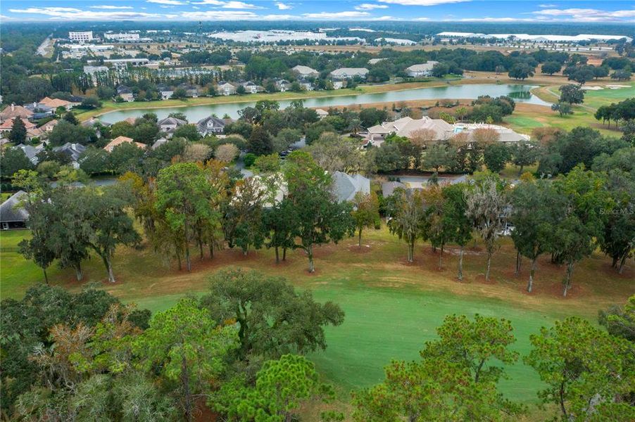 Natural landscape and outdoor views near in Ocala (Image 72). Natural landscape and outdoor views near in Ocala (Image 72).