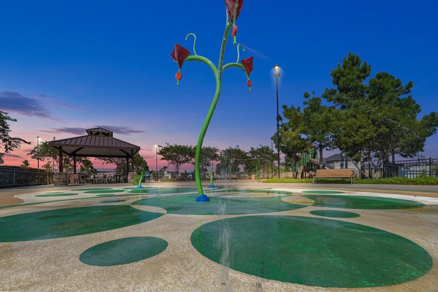 Community amenities in Briarwood Crossing, Rosenberg (Image 30).