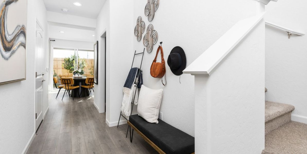 1440x724 Waterlily Entry 1440x724 Waterlily Entry