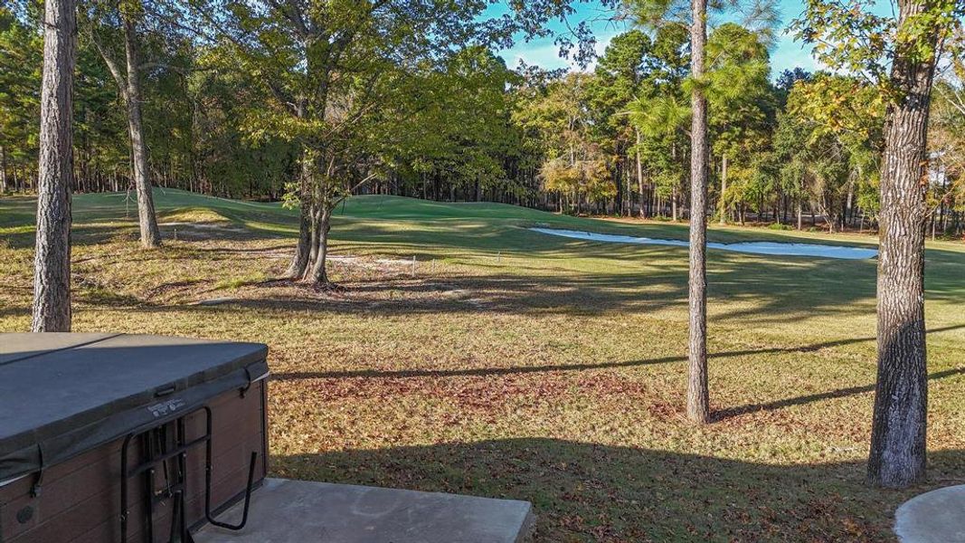 Natural landscape and outdoor views near  in Bullard (Image 35).