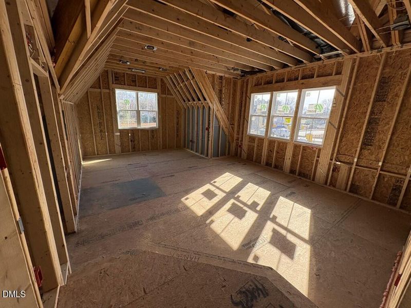 Photo Dec 01 2025, 11 39 27 AM (Medium)