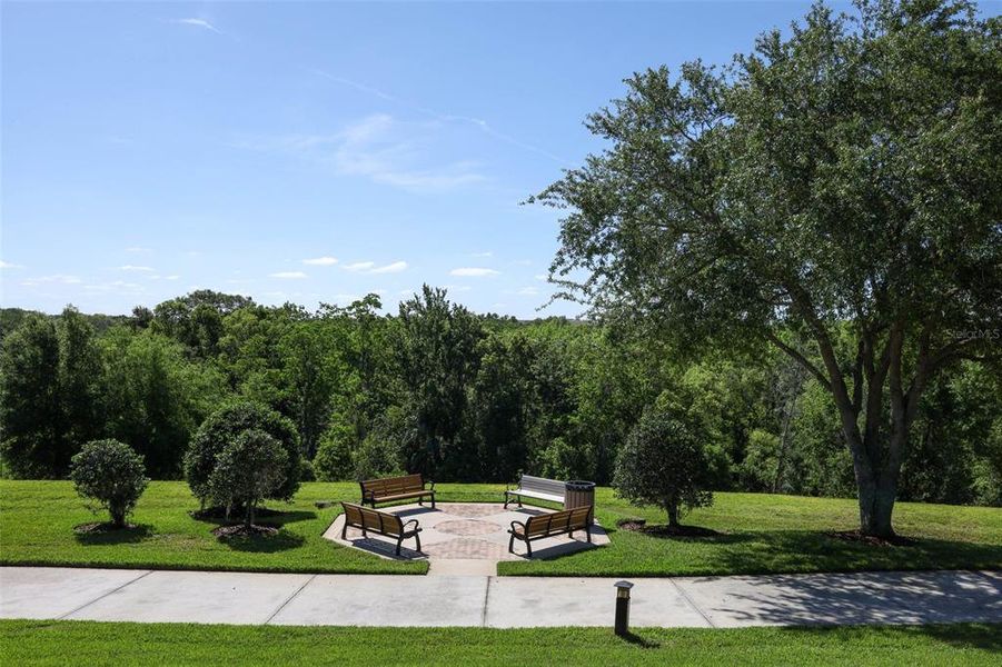 Natural landscape and outdoor views near  in Mount Dora (Image 40).
