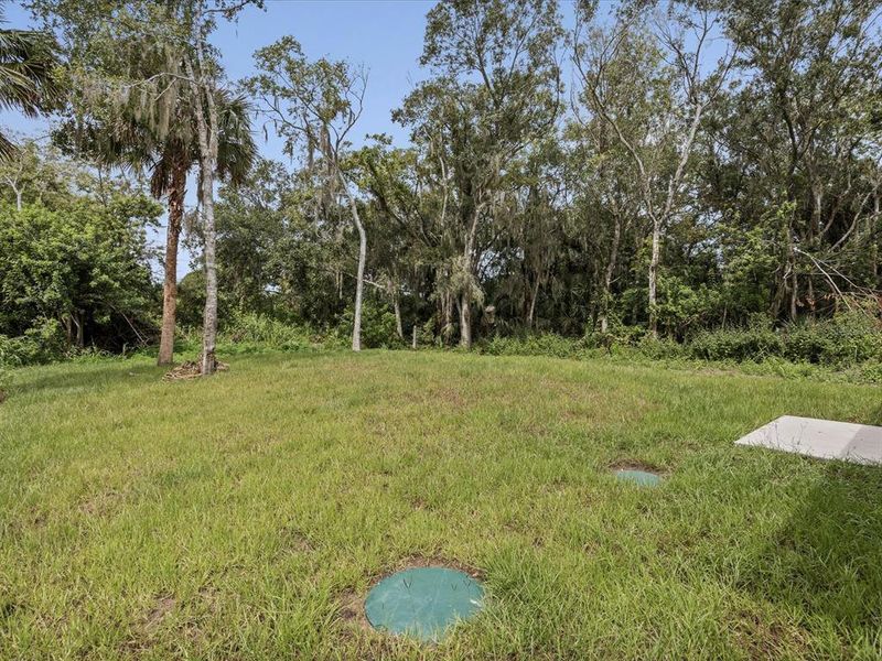 Natural landscape and outdoor views near in Sanford (Image 24). Natural landscape and outdoor views near in Sanford (Image 24).