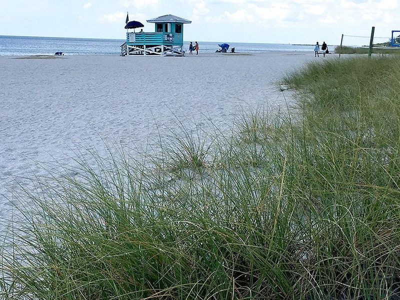 Natural landscape and outdoor views near  in North Port (Image 28).