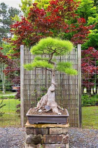 Image 31 of a home in Livingstone Park.