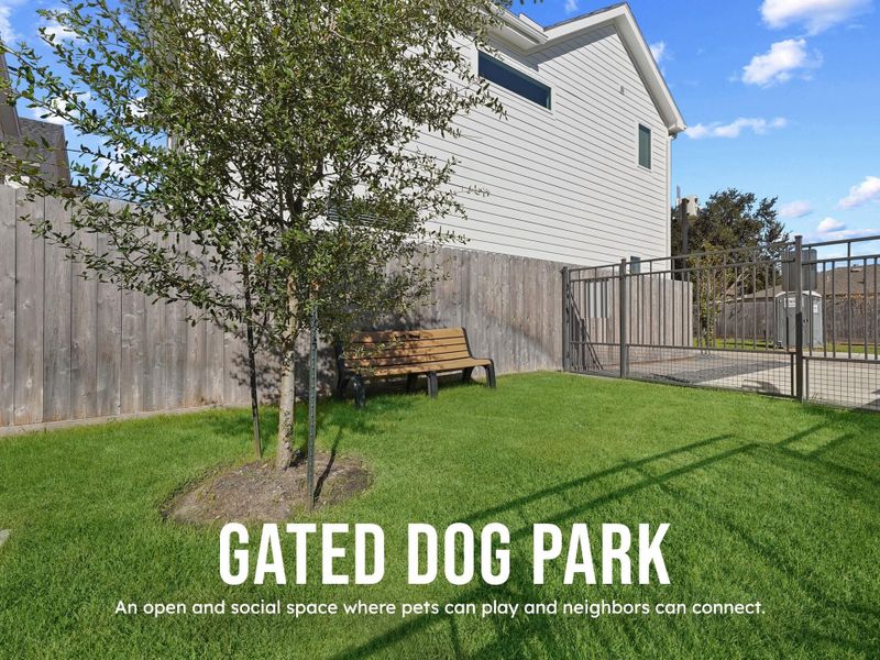 Gated Dog Park Gated Dog Park