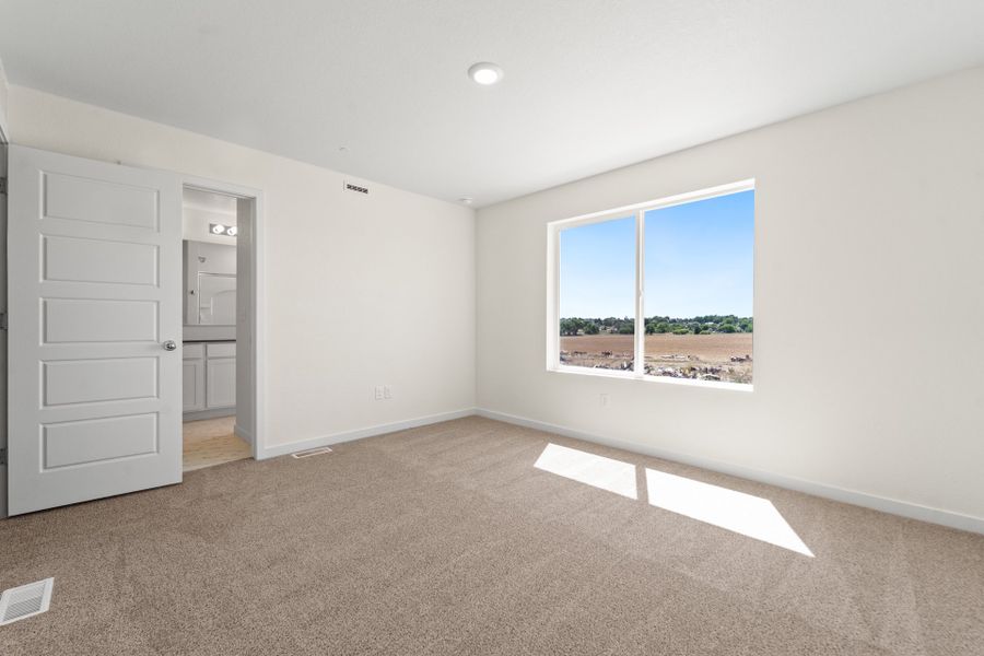 3921 Green Ct - Owner's Suite