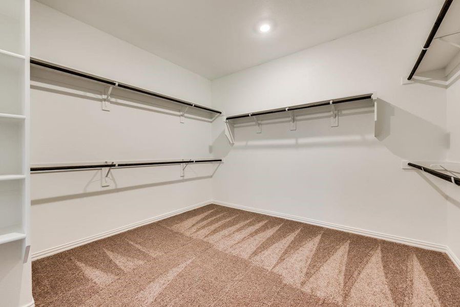 Spacious closet with carpet