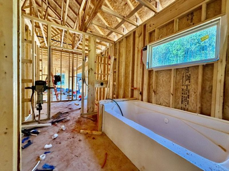 In-progress construction of a new home in Mitchell Farms, LaGrange, GA (Image 9). In-progress construction of a new home in Mitchell Farms, LaGrange, GA (Image 9).